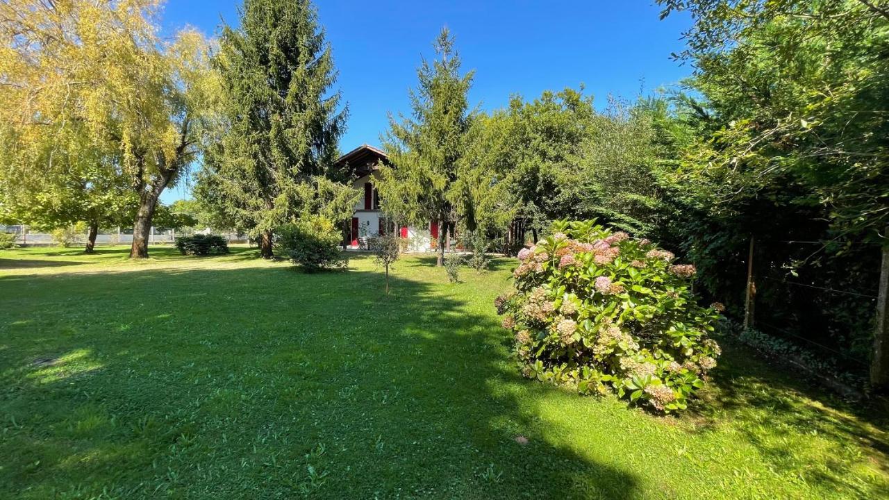 Au Milieu Des Pins / Bord Du Villa Biscarrosse
