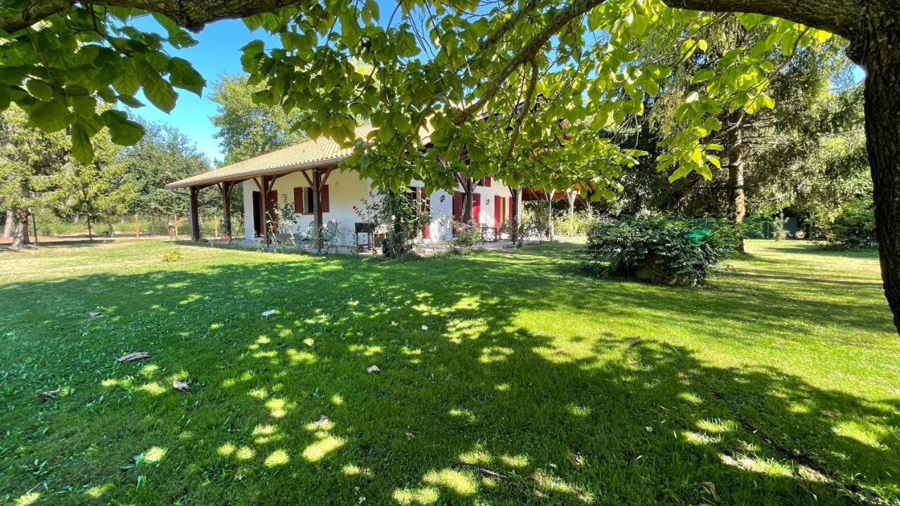 Villa Au Milieu Des Pins / Bord Du Biscarrosse