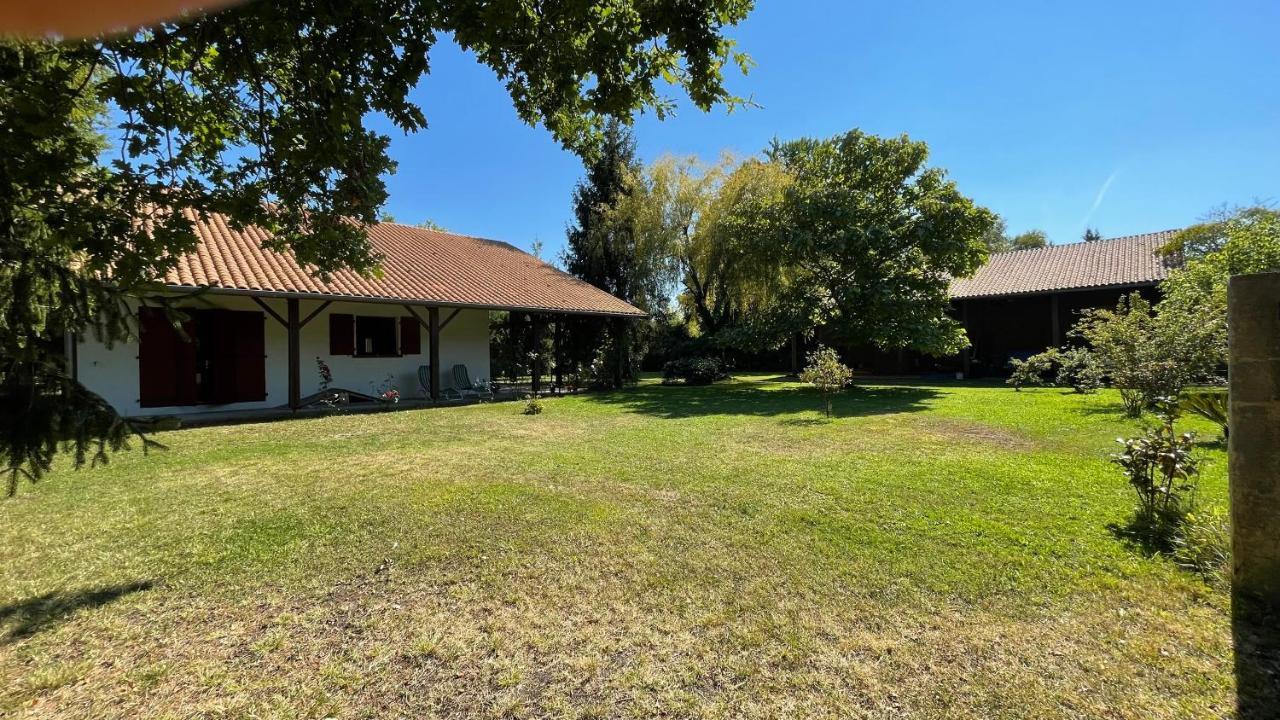 Au Milieu Des Pins / Bord Du Villa