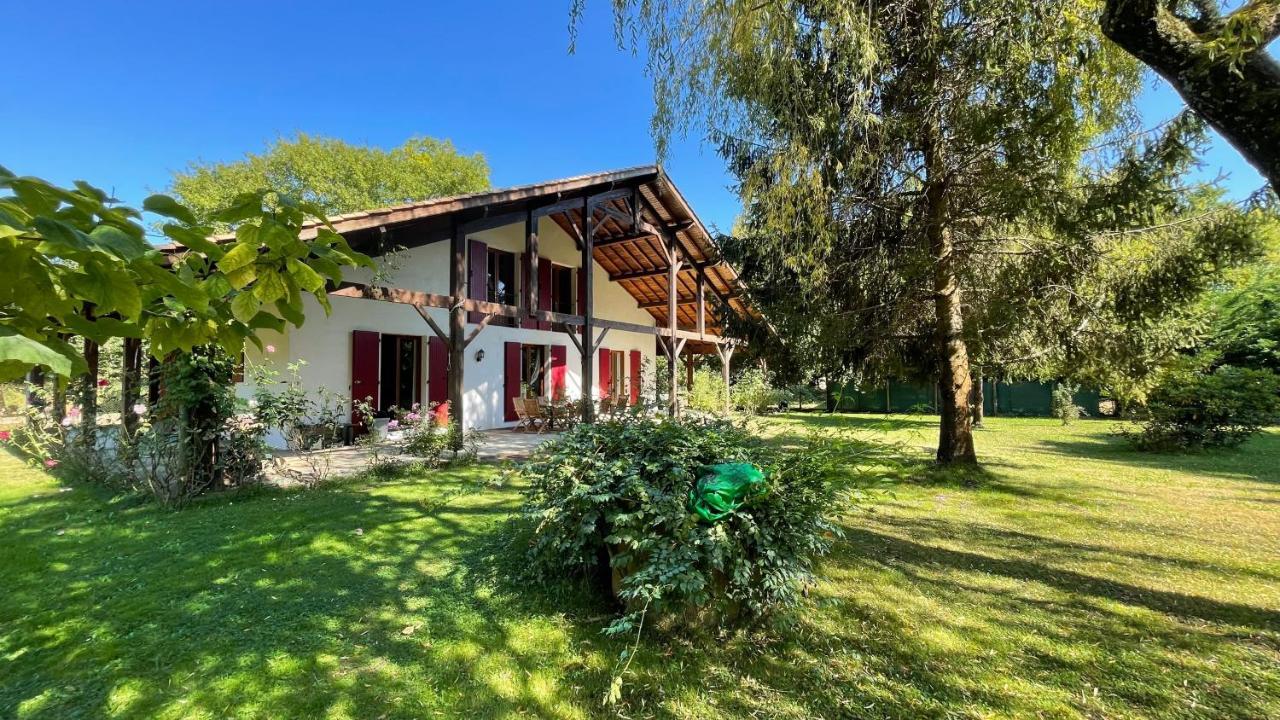Au Milieu Des Pins / Bord Du Villa