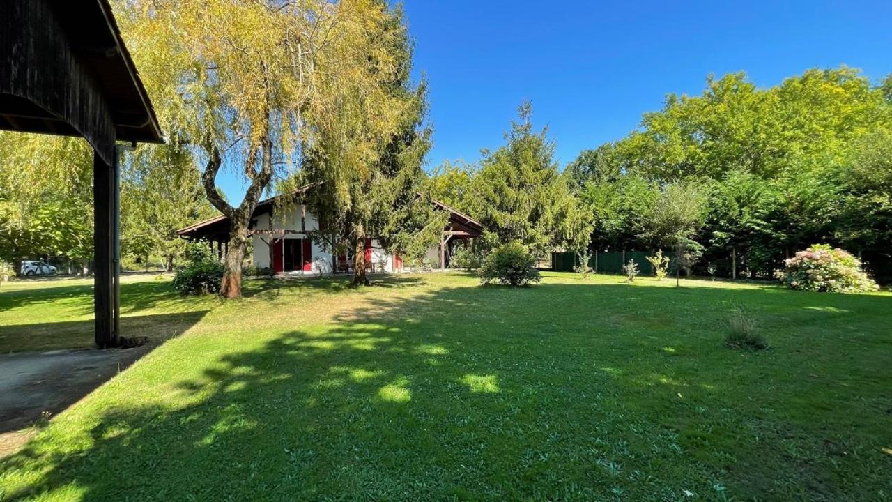 Villa Au Milieu Des Pins / Bord Du